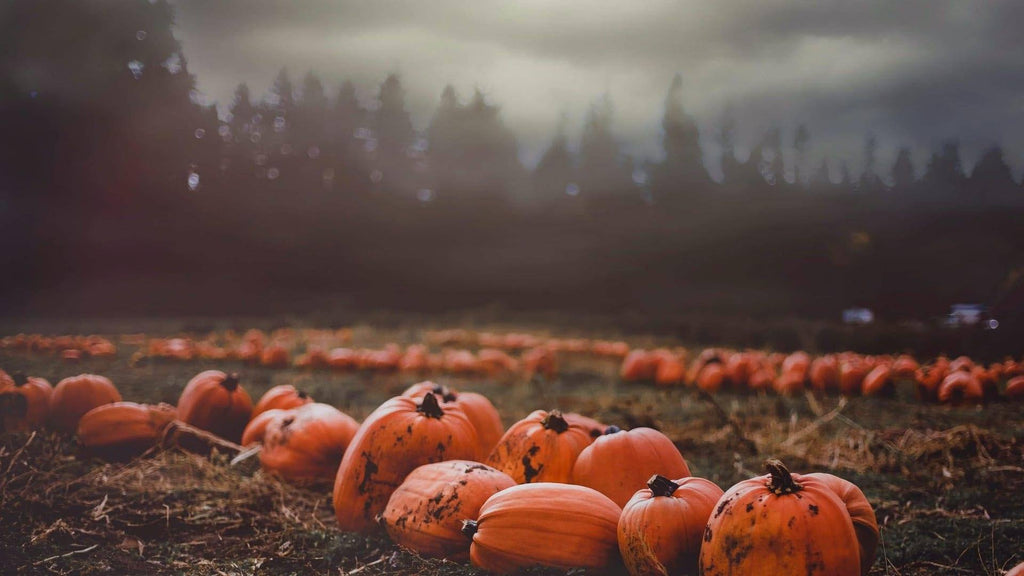 Let the Autumn be-GIN