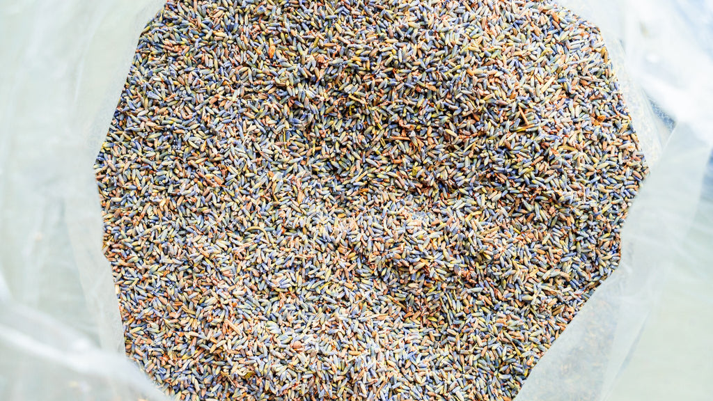 The Beauty of Botanicals